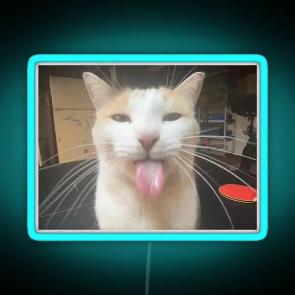 Silly Cat Milly RGB Neon Sign
