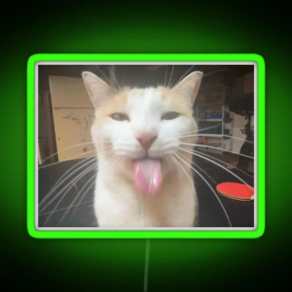 Silly Cat Milly RGB Neon Sign