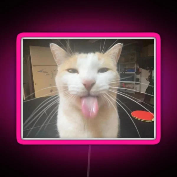 Silly Cat Milly RGB Neon Sign