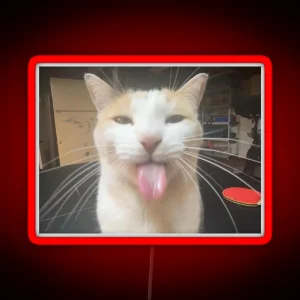 Silly Cat Milly RGB Neon Sign