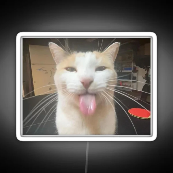 Silly Cat Milly RGB Neon Sign