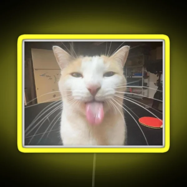 Silly Cat Milly RGB Neon Sign
