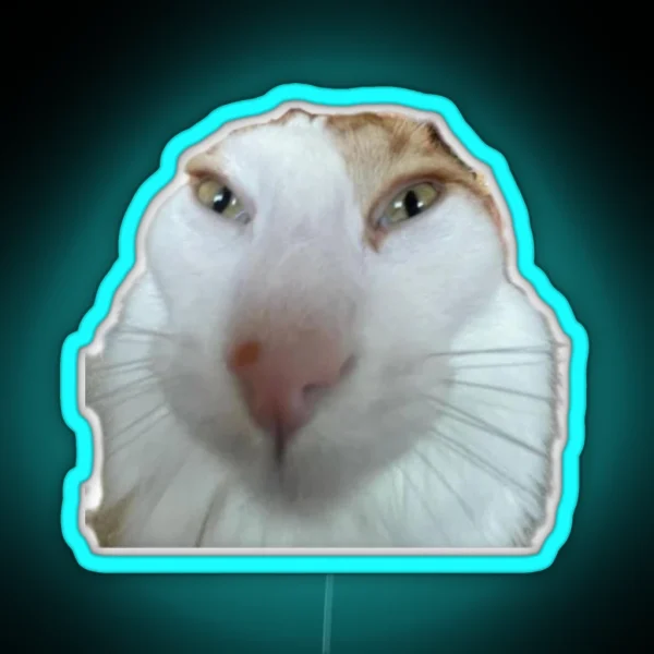 Silly Cat RGB Neon Sign