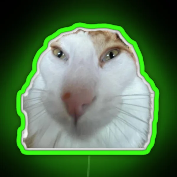 Silly Cat RGB Neon Sign