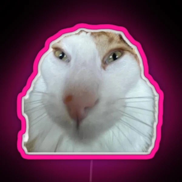 Silly Cat RGB Neon Sign