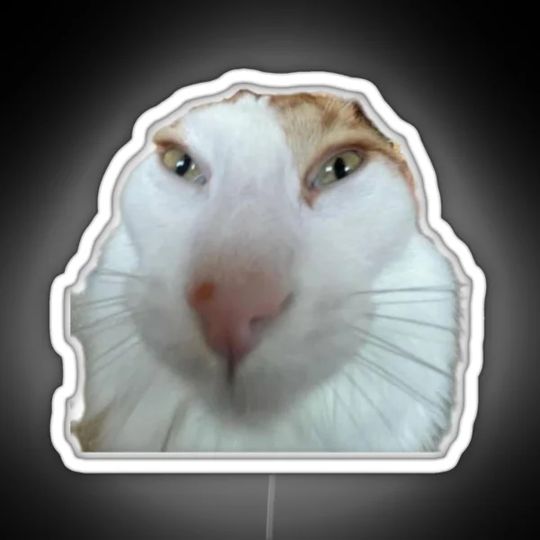 Silly Cat RGB Neon Sign