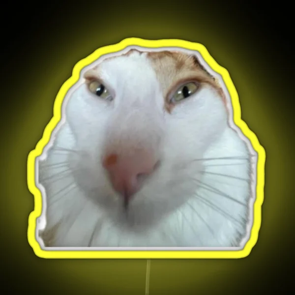 Silly Cat RGB Neon Sign