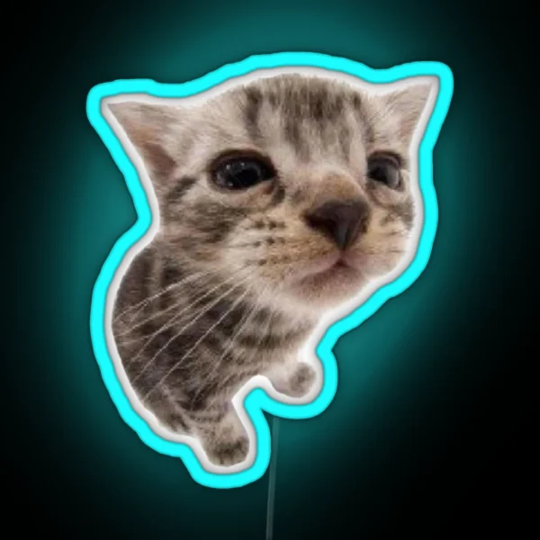 Silly Kitty Cat Led RGB Neon Sign