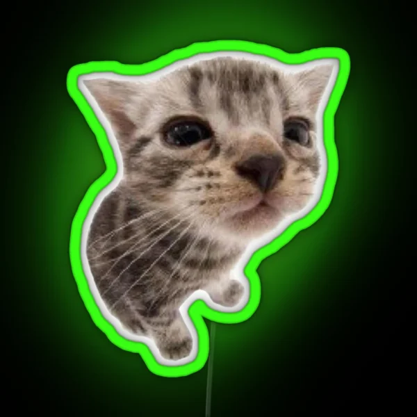 Silly Kitty Cat Led RGB Neon Sign