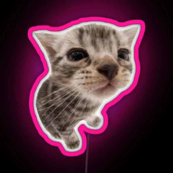 Silly Kitty Cat Led RGB Neon Sign