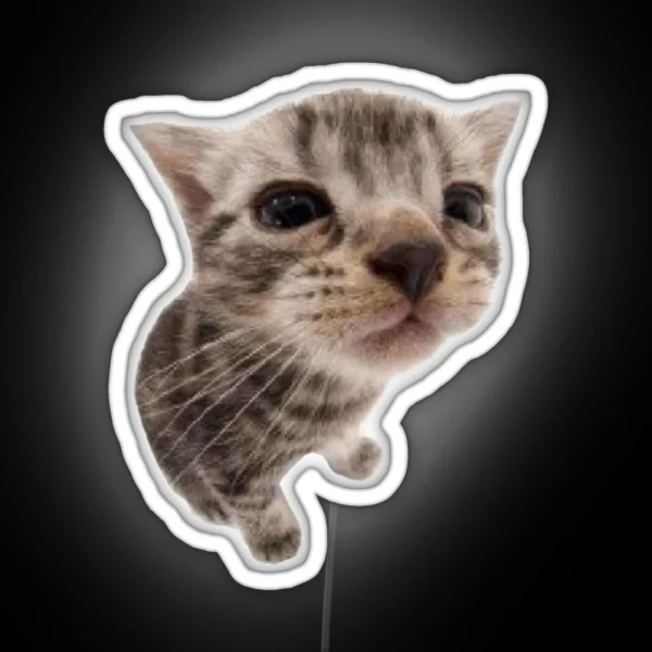 Silly Kitty Cat Led RGB Neon Sign