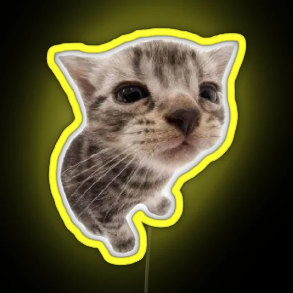 Silly Kitty Cat Led RGB Neon Sign