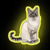 silly lynx point cat blep neon rgb yellow