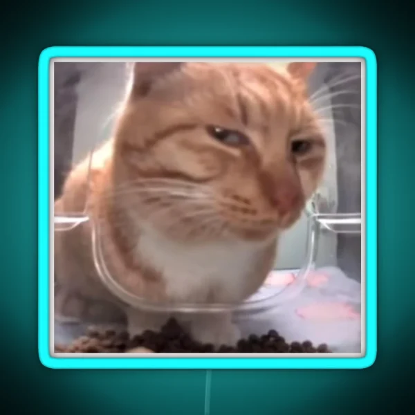 Silly Side Eye Cat RGB Neon Sign