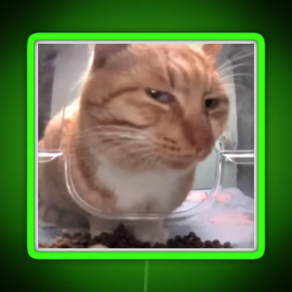 Silly Side Eye Cat RGB Neon Sign