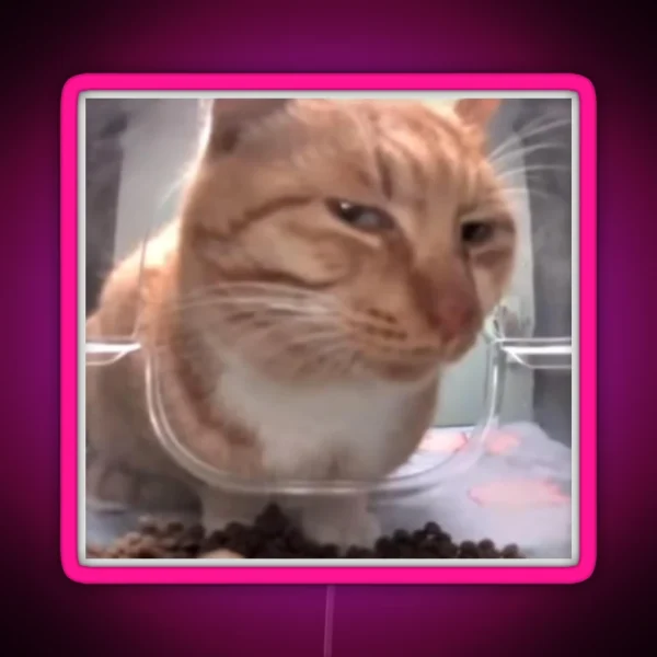 Silly Side Eye Cat RGB Neon Sign