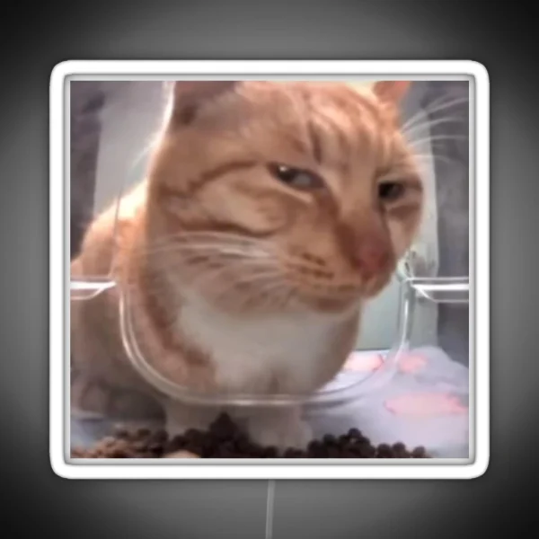 Silly Side Eye Cat RGB Neon Sign