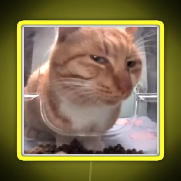 Silly Side Eye Cat RGB Neon Sign