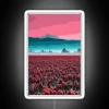 Skagit Valley tulip fields featuring a vibrant RGB neon sign.