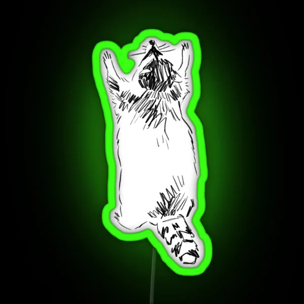 Sketch Y Raccoon RGB Neon Sign