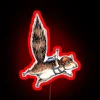 Neon skydiver and squirrel share a thrilling adventure under vibrant LED lights.