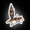 Skydiver and squirrel in mid-air, surrounded by neon lights and vibrant colors.