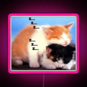 Sleeping Kittens RGB Neon Sign