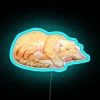 A sleeping orange tabby cat in front of a neon sign at night.