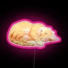 A sleeping orange tabby cat in front of a vibrant, neon sign reading "71276" with pink accents.