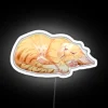 A sleeping orange tabby cat illuminated by an RGB neon sign in a bright, white room.
