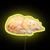 Orange tabby cat sleeping in front of a neon sign with yellow accents.