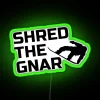 Neon-lit snowboarding sign with vibrant green letters, reading 'Shred The Gnar'