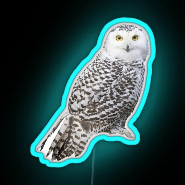 Snowy Owl RGB Neon Sign
