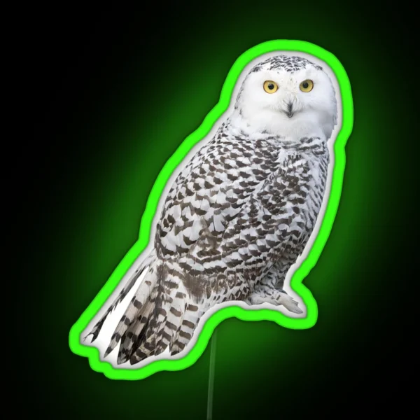Snowy Owl RGB Neon Sign