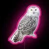 RGB Neon Sign of a Snowy Owl in Pink Color Scheme