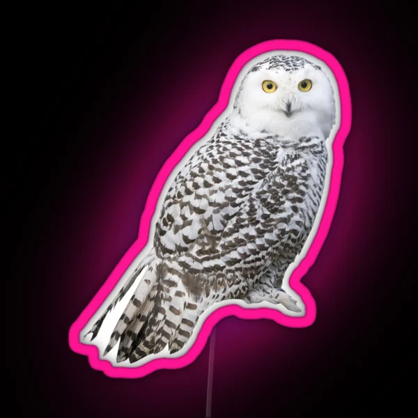 Snowy Owl RGB Neon Sign