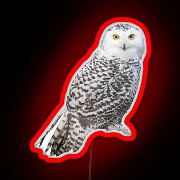 Snowy Owl RGB Neon Sign