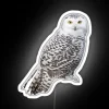 A snowy owl perched on a vibrant RGB neon sign, set against a white background.