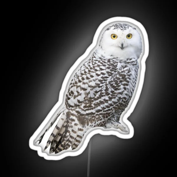Snowy Owl RGB Neon Sign
