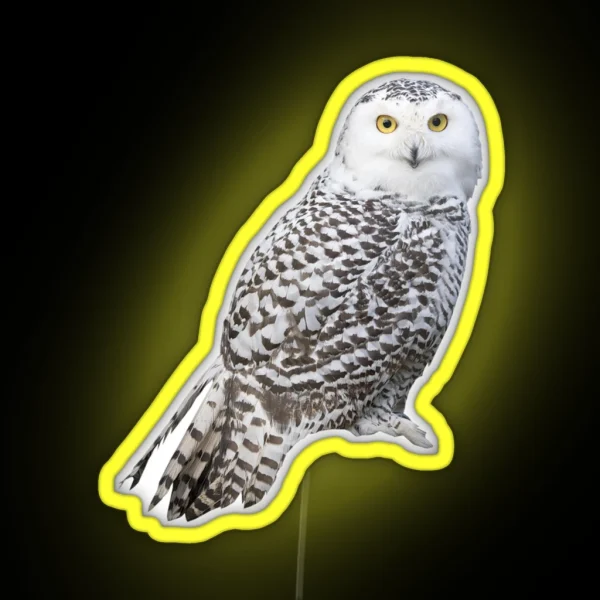 Snowy Owl RGB Neon Sign