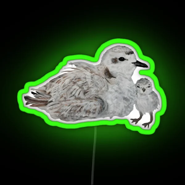 Snowy Plover RGB Neon Sign