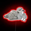 Snowy Plover perched on top of an RGB neon sign in a snowy landscape.