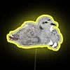 Neon sign with glowing letters in yellow, featuring an illustration of a Snowy Plover.