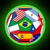 Brazil 2014 soccer flags displayed on a neon sign