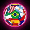 Brazil 2014 Soccer Field with Multicolored Flags