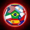 Soccer players from around the world gather with national flags at Brazil 2014.