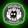 A socially awkward cat with a neon sign in a green background. Socially Awkward Cat Posing Under Neon Sign