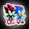 Neon sign from Sonic & Shadow the Hedgehog game, featuring a white background and RGB lighting effects.