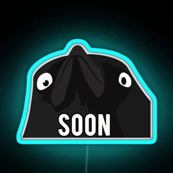 Soon Crow Meme RGB Neon Sign