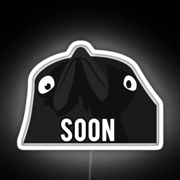 Soon Crow Meme RGB Neon Sign